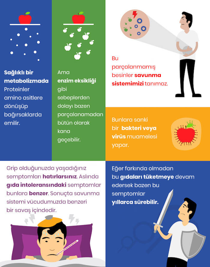 пиннер тест