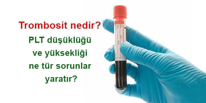 trombosit nedir